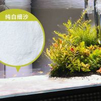 [鱼缸造景]5斤白沙 盆栽五彩石鱼缸铺底石子小石头批发养花白鹅卵石多肉铺面石雨花石
