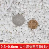 白石子0.3-0.6厘米(5.5斤) 白色鹅卵石白色小石子石头雨花石花盆装饰品铺路白石子装饰石石头