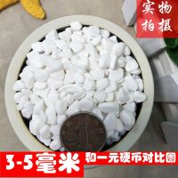 白石头3-5毫米5斤装 5斤装白石子白色小石头多肉装饰花盆盆栽铺面鱼缸造景五彩鹅卵石