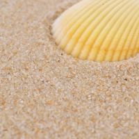 粗沙(5斤装) 天然海沙玩具散沙白沙乌龟下蛋沙儿童乐园摆摊沙子拳击沙袋填