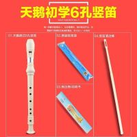 6孔 天鹅竖笛(白色)玩具娱乐 [奇美/天鹅竖笛]学生6孔8孔笛子儿童德式直笛六孔八孔高音