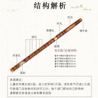双节 G 调(初学推荐) 专业高级笛子横笛全套初学自学Gf调成人竹笛儿童演奏苦竹笛子乐器