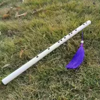 白色笛子/紫穗/配件 G调 乐器一节白色笛子古风朴素竹笛杀破狼顾昀顾大帅初学练吹苦竹横笛