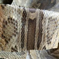 长9厘米宽12厘米(尺寸小) 二胡冬布拉热瓦谱越胡等乐器专用蟒皮单张9.9两张以上送组胶