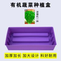 紫色(单盆/送种子)(不送肥) 长方形大号塑料花盆清仓种植蔬菜盆阳台菜园种菜设备种草莓的神器