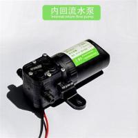 雨露小泵 雨露凌奥虎跃电动喷雾器12V伏农用自吸洗车智能压力大功率双水泵