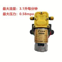 XLD平头泵 农用电动喷雾器高压水泵大功率12v高压智能型电动喷雾器电机水泵