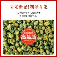 头采新花(高品质) 胎菊王50克 2021新花 菊花茶头采桐乡胎菊王正宗特级杭白菊清热去火贡菊花茶