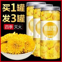 一罐 [怀棂菊] 怀棂菊菊花茶四季秋季安徽省黄山特级野生灵怀菊茶灵泡水