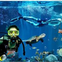 T-508L天蓝色 特比乐微单相机防水套 长镜头微单防水袋 潜水游泳漂流包 T-508L