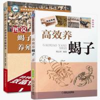 正版 高效养蝎子 +图说蝎子高产高效养殖关键技术2册 养蝎子养殖技术