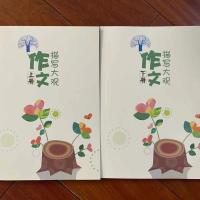 作文描写大观宝藏书上下册中小学生作文素材好词好句大全书籍