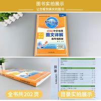 北斗地图中学地理图文详解高中区域地理地图册新高考中国世界地图 无 区域地理(全国版)