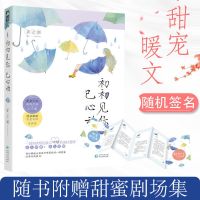 彩绘飞机盒 赠钥匙扣 偷偷藏不住全二册 竹已 青春校园言情小说 初初见你已心动