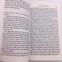 麦田里的守望者英文原版 The Catcher in the Rye 英文版小说书籍 麦田里的守望者英文原版 The C