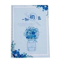 女生手写体清秀漂亮字体钢笔字帖大学生成人行楷行书江湖书法临摹 浅蓝色