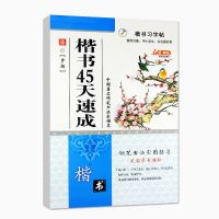 楷书成人45天速成硬笔书法字帖小学生正楷临摹钢练字帖初学者笔画 楷书45天速成