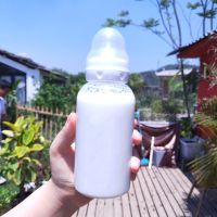 韩版可爱水杯刻度吸管奶瓶成人创意玻璃杯女学生奶嘴杯子随手杯 无图透明 单杯