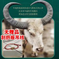 牦牛角牛角刮痧板面部美容全身通用脸部神器拨筋棒眼部专用工具 刮痧板吊绳#(+)齉 [精油+筋络图]仅限刮痧板拨筋棒