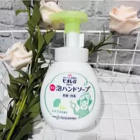 日本KAO花王泡沫洗手液抑菌洁净除味宝宝可用儿童清新微香250ml (花王)#柠檬香250ML