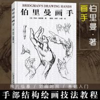 [正版]伯里曼画手 艺用人体结构绘画教学解剖技法 基础入门素描