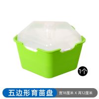 幼儿园植物儿童观察生长种植小学生盆栽发芽水培蔬菜芽苗菜育苗盘 绿色---五边形育苗盘1个(简装)
