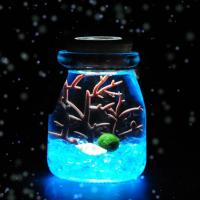 海藻球玻璃生态瓶微景观带灯迷你鱼缸创意植物盆栽生日礼物 宝石蓝 不带灯
