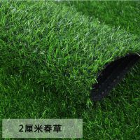 幼儿园仿真草坪彩虹跑道学校操场户外人造草皮工程围挡塑料假草坪 2.0厘米春草(加厚优质款)