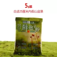 微景观野生青苔孢子粉吸水石假山草籽上水石盆景水草苔藓植物种子 微星星苔藓孢子粉5g