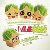 办公室桌面小植物迷你盆栽青草种植 (爷爷奶奶) 长草头娃娃种植草 4款小星星 共2个