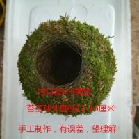 手工苔玉苔藓球 苔藓球花器盆 创意石斛种植盆 园艺盆栽 家居装饰 苔藓球一个