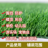 人造仿真草坪户外假塑料草皮庭院阳台装饰人工围挡幼儿园草坪地毯 2.0cm普通加密(围挡墙面)