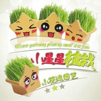 创意Diy长草小盆栽晴天娃娃草头娃娃幼儿园种植儿童可爱迷你礼物 小星星随机 1个