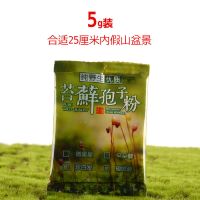 苔藓孢子粉上水石假山吸水石盆景四季鲜活的植物盆栽造景青苔种子 微星星苔藓孢子粉5g