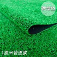 仿真草坪加密人工草皮假草幼儿园阳台室内外楼顶装饰绿色地毯垫子 1厘米翠绿色