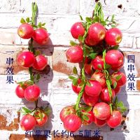 仿真水果串果蔬菜餐厅水果店超市装饰挂饰幼儿园启蒙摄影道具 8头红苹果