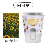 幼儿园种植儿童观察日记植物生长盆栽小花农diy发芽迷你水培自种 向日葵--含盆套装