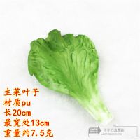 仿真蔬菜套装模型假辣椒茄子土豆萝卜白菜青菜橱柜装饰品早教道具 生菜叶2片