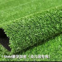 仿真草坪地毯工程围挡施工草坪幼儿园草坪家庭地面草坪足球场草坪 1.5CM特密背胶款 热卖