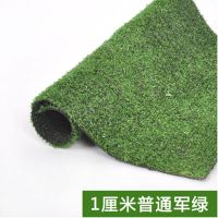 。仿真草坪 水果店假草坪地毯装饰垫子室内绿色超市草皮绿色 普通军绿色 / 草高1cm