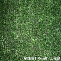 幼儿园草坪人造仿真草坪婚庆地毯塑料户外人工草皮彩虹跑道果岭草 军绿色1cm高工程款