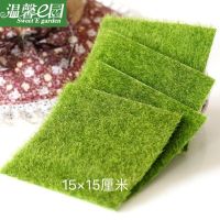 微景观创意家居饰品仿真草坪假苔藓假草皮生态瓶装饰草坪苔藓草皮 2块15×15cm草坪