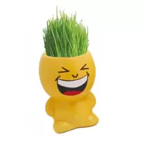 办公室迷你植物炫酷小子小盆栽青草种植可爱表情草头娃娃陶瓷摆件 大笑 炫酷小子(1个卖)