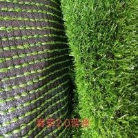 草坪地毯幼儿园人造假草阳台装饰绿植户外工程围挡优质草坪 2.0cm加密普通款[1平方]