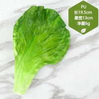 仿真蔬菜模型叶菜假生菜叶西兰花包菜橱柜水果装饰道具玩具 生菜片一片