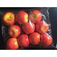 轻款仿真水果蔬菜串苹果 假苹果橙子柠檬香蕉橱柜装饰品水果拍摄 1包10个红苹果