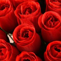 仿真玫瑰花 绢布仿真花 婚庆用品玫瑰花仿真植物婚礼假花家居装饰 红色 10 枝玫瑰花