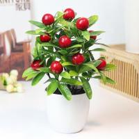 墙壁藤条壁挂果藤吊篮客厅墙上摆设植物装饰品家用仿真塑料绿树叶 圆形吉祥果红色