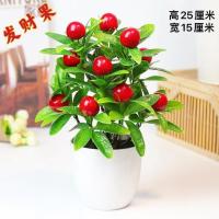 吊篮花藤条干花塑料花假花仿真高档挂墙免打孔开业卧室客厅摆件 招财小盆景