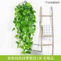 仿真绿萝客厅挂墙绿植壁挂植物装饰垂吊假花藤条室内藤蔓吊兰吊篮 单支绿萝叶